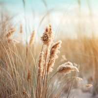 Lesen LED Bilder Bewertungen